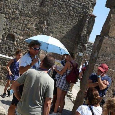 Pompeii: 2h Group Tour with a certified licensed guide/ Free entrance days (no ticket)-4