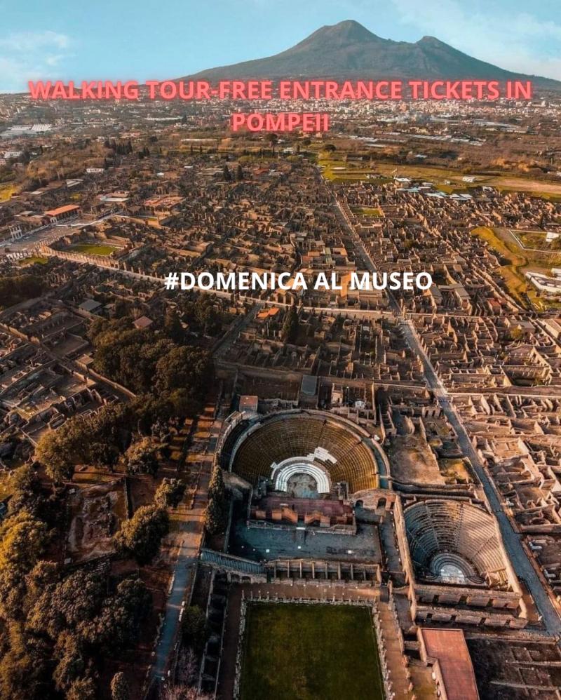 Pompeii: 2h Group Tour with a certified licensed guide/ Free entrance days (no ticket)