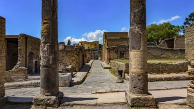 Herculaneum: Skip-the-line entry ticket (art) + audioguide & map-3
