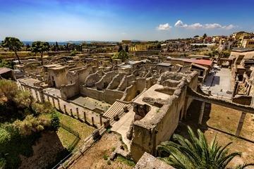 Pompei & Ercolano: Tour privato full day con una guida certificata-40