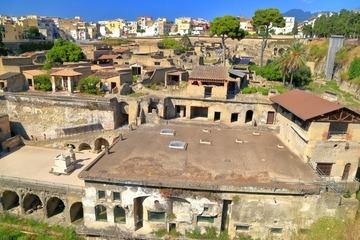 Pompei & Ercolano: Tour privato full day con una guida certificata-36